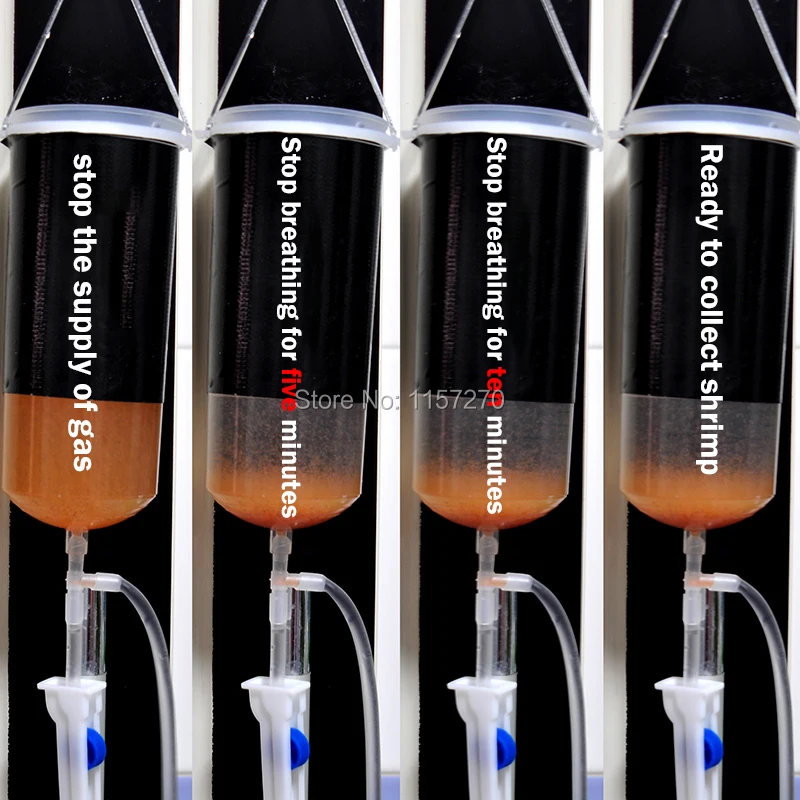 

Fairy shrimp egg artemia alive easy hatch tool Baby Brine Shrimp small baby fish food fresh aquarium