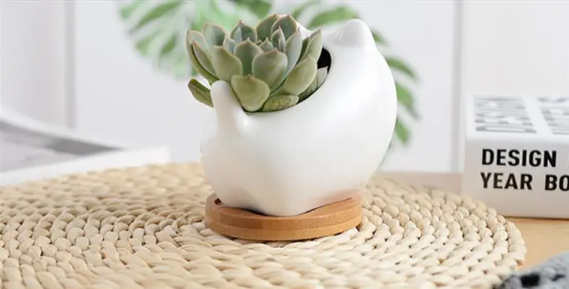 3 шт. мини-горшки для цветов в форме животных цветочный горшок сада небьющиеся