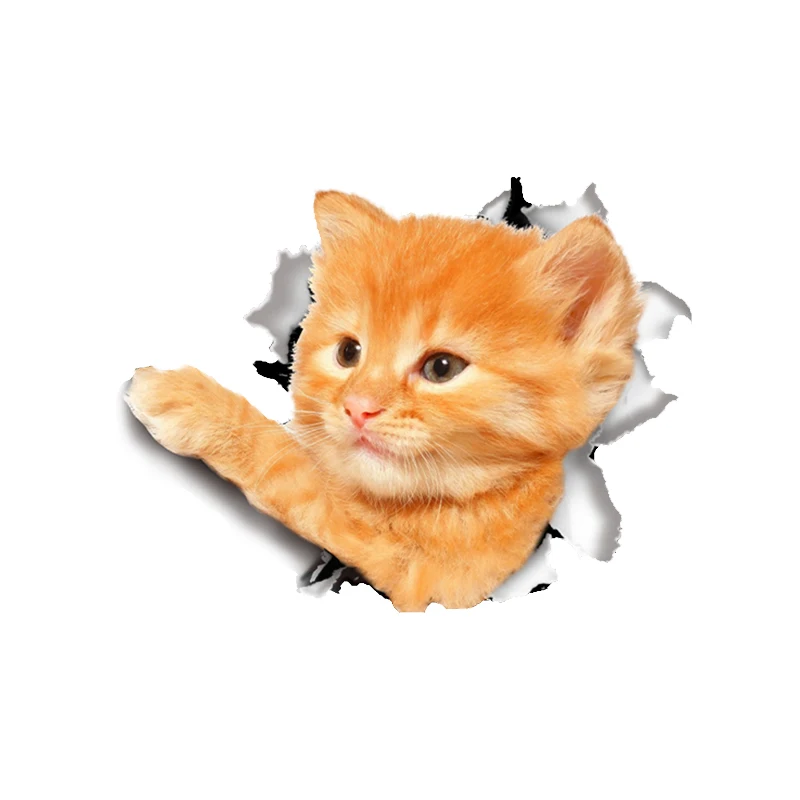 3D Kitten Puppy Animal Wall Sticker Decal Art Wallpaper Decoration | Дом и сад