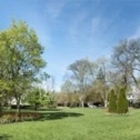 Тюльпаны с деревьями в Sherwood Gardens Балтимор Мэриленд США плакат печать (18x7) | Дом и