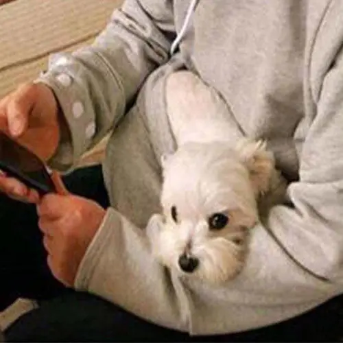 

2019 New Kangaroo Holder Coat Cat Dog Pet Large Pocket Unisex Tops Hoodie 5 Colors