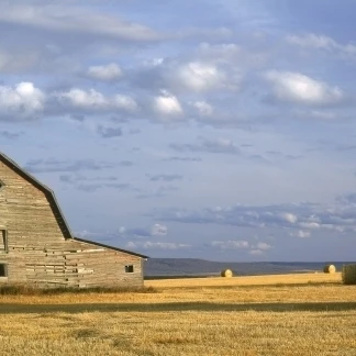 Old Barns Peace River Area возле Доусон крик Британская Колумбия Канада постер печать