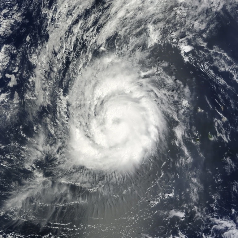 Hurricane Julia Poster Print (12 x 16) | Дом и сад
