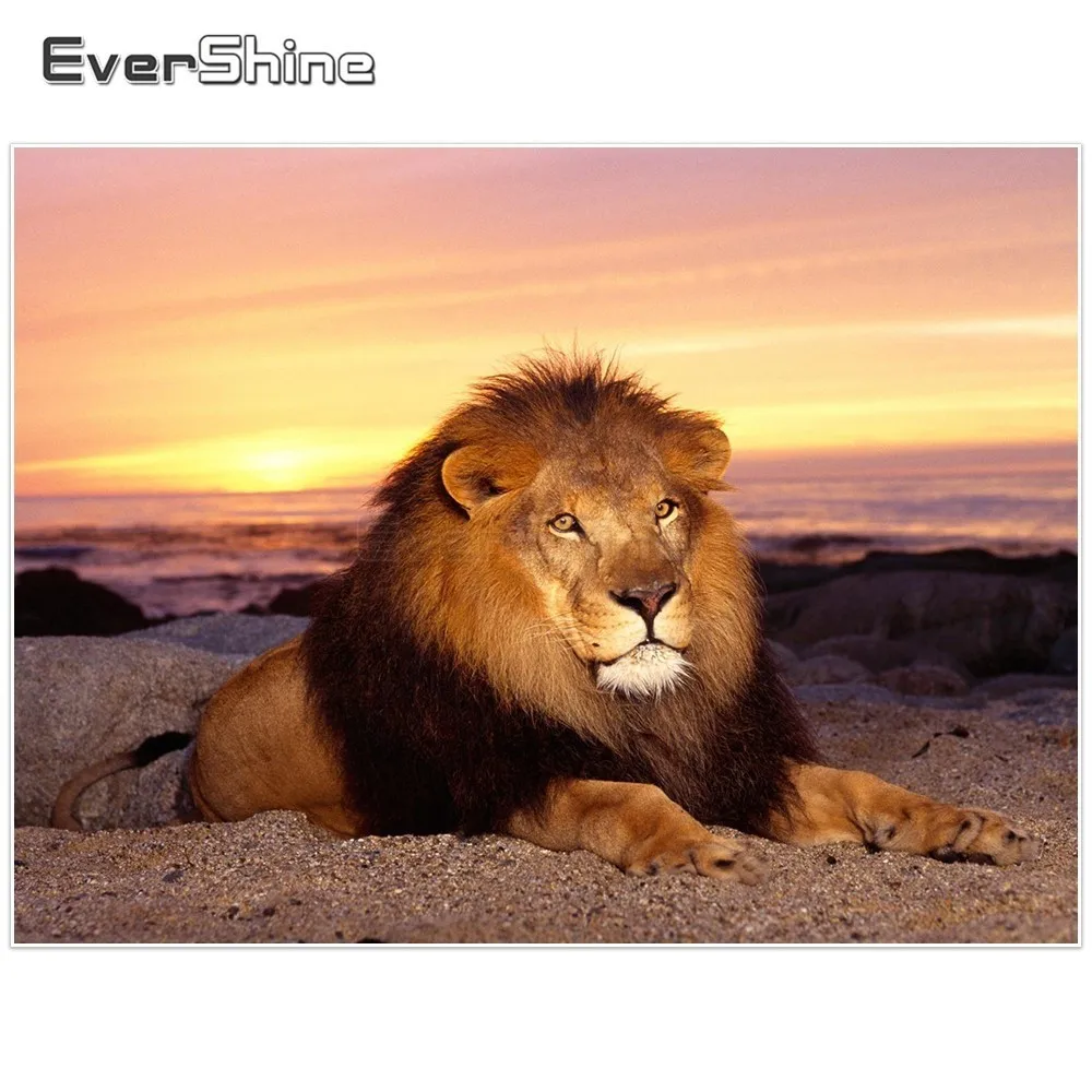 EverShine 5D DIY Animals Paint With Diamonds Full Round/square Diamond Mosaic Embroidery Lion Picture Of Rhinestones|Алмазная мозаика