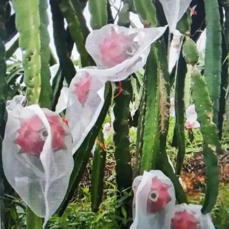 100/200/1000 шт мешок для защиты сада растений фруктов цветов Экологически чистая