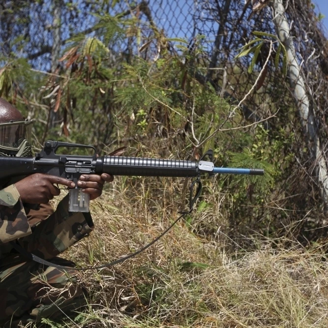 Ямайский солдат сканирует через печать постер с изображением листвы (17x11) | Дом и