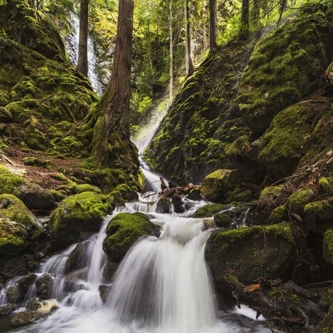 Lupin Falls Strathcona Provincial Park Британская Колумбия Канада плакат печать (24x38)|Таблички и