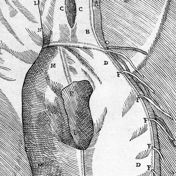Оборудование для одного из Rhinoplasty методов Tagliacozzi плакат печать по источнику науки