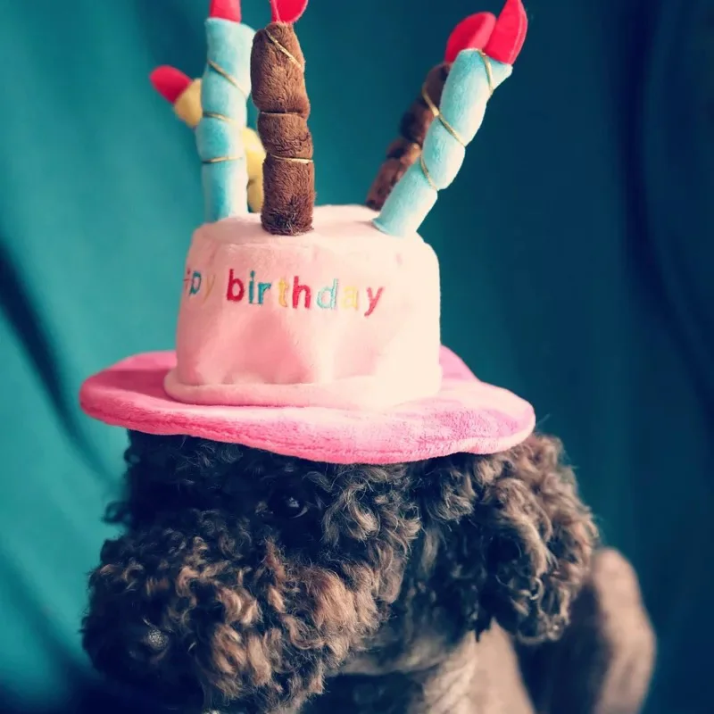 Happy Birthday Pet Products Accessories Cat Dog Hat Cute Fashion New wholesale 10 pieces | Дом и сад