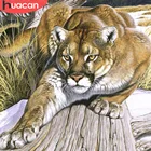 HUACAN Алмазная картина льва Алмазная вышивка полностью квадратнаякруглая дрель 5d DIY Бриллиантовая мозаичная фигурка животного картина Стразы