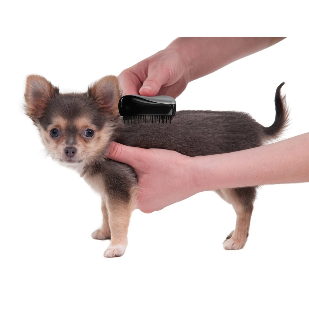 Detangle уход за домашними животными массажер и щетка черный| |