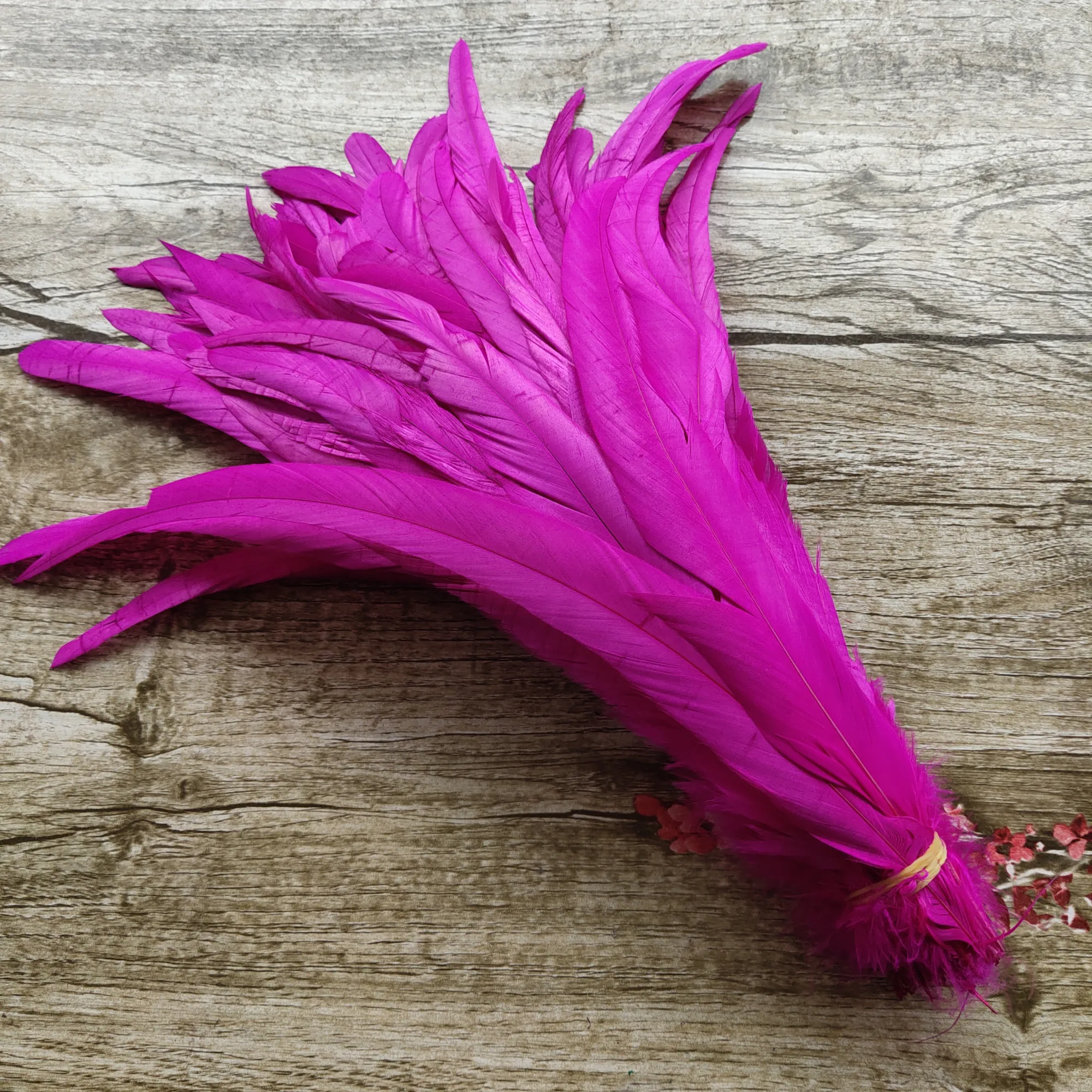 100pcs/lot 12-14 inches / 30-35cm high quality rooster tail feather DIY jewelry decoration art props accessories | Дом и сад