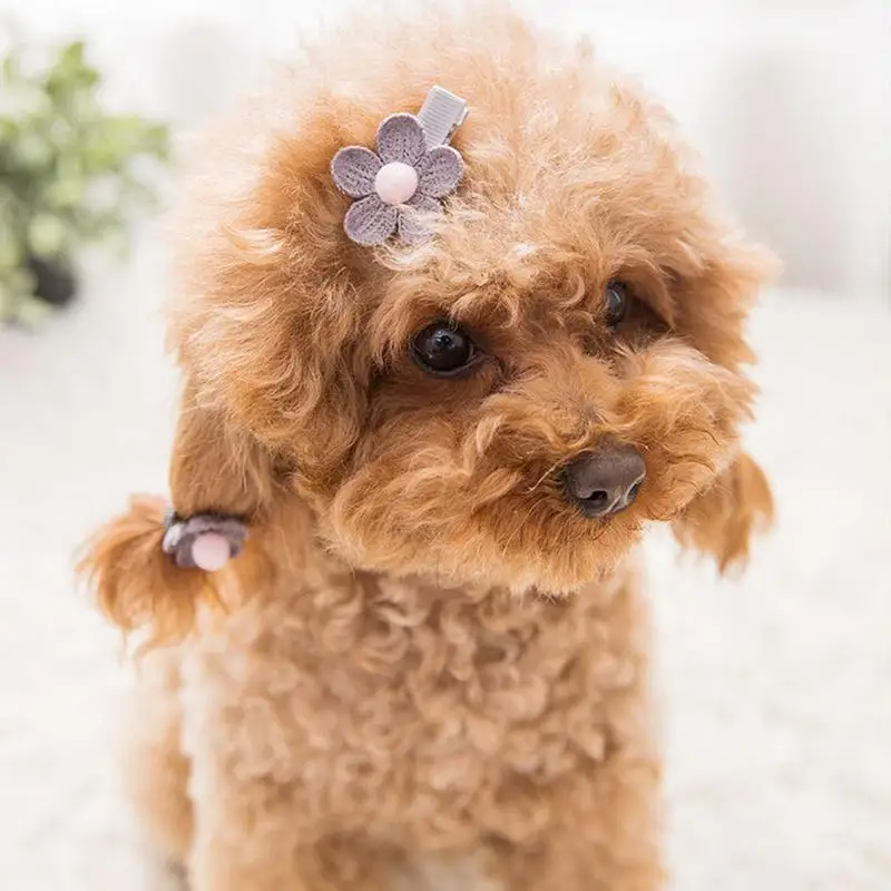 Kawaii стиль аксессуары для домашних животных собака головное украшение кошки