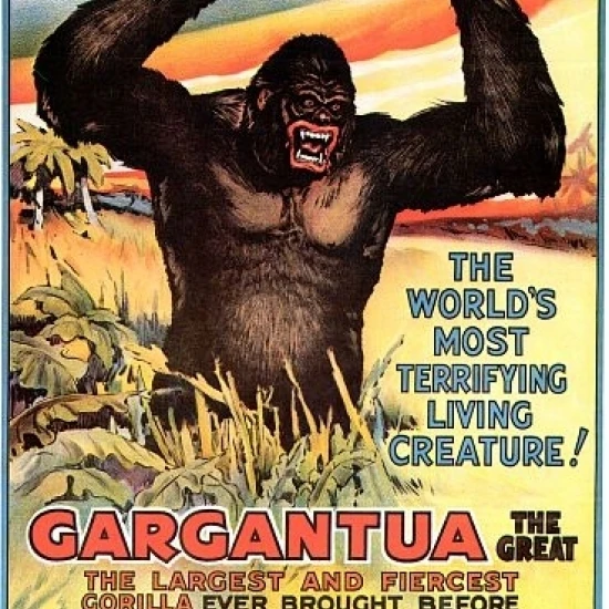 Gargantua большой Горилла цирк плакат печать (36x54) | Дом и сад