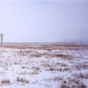 Заснеженный пейзаж зимой Антилопа плоский Гранд Титон национальный парк