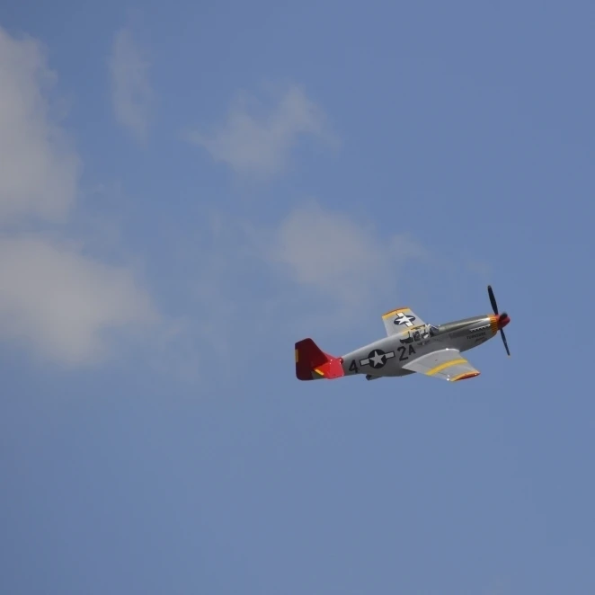 Восстановленный P 51 Mustang связанные с Tuskegee Airmen плакат печать (17x11)|Таблички и знаки| |