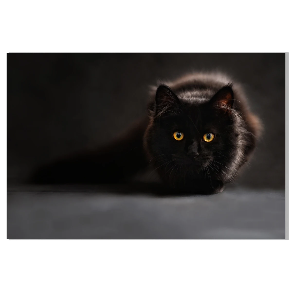 Силуэт кошки холст живопись постер картина для гостиной стена домашний декор |