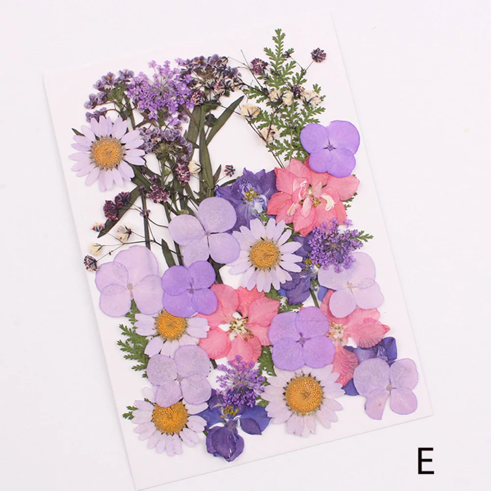 Прессованные цветы смешанные органические натуральные сушеные DIY