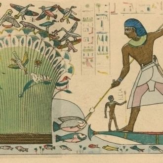 Древний Египет птица постер с охотой печать по науке источник (36x24)|Таблички и