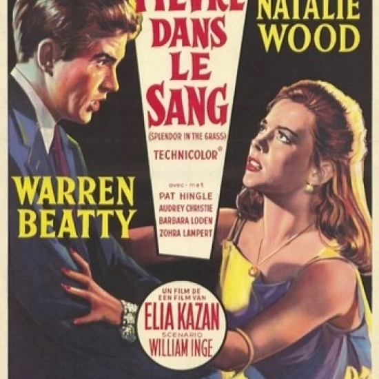 Великолепный постер в траве (11x17)|Таблички и знаки| |