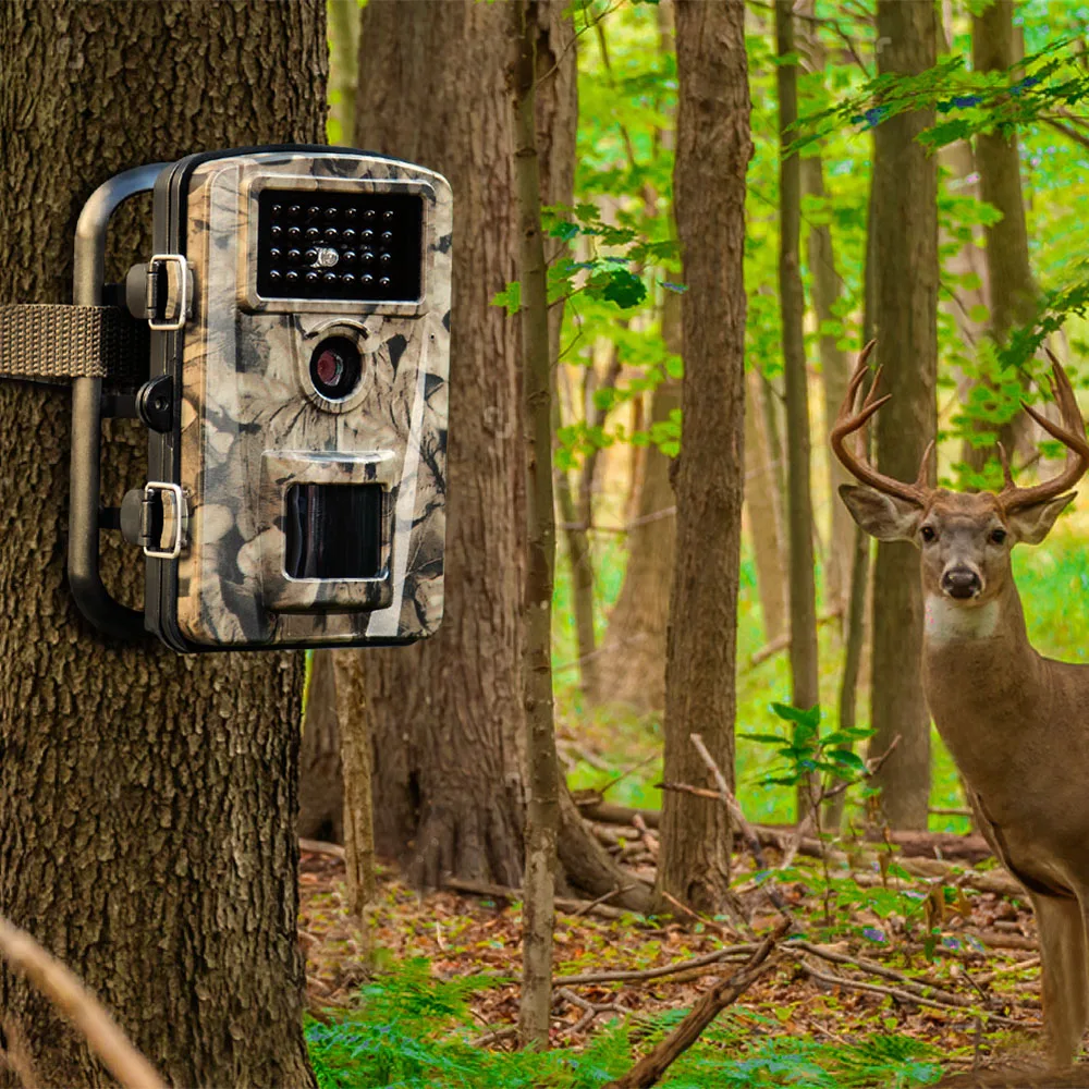 ZECRE PH700A Outdoor IP66 Waterproof Hunting Infrared Camera Night Vision LEDs Trail 12MP 1080P LCD Display Wild | Спорт и