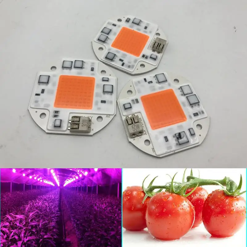 Hydroponice AC100-260V 20 Вт 30 50 Cob Светодиодный светящийся чип полного спектра 380-840nm для