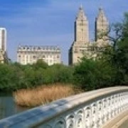 Смычок мост Центральный парк NYC Нью-Йорк штат США плакат печать (36x12) | Дом и сад