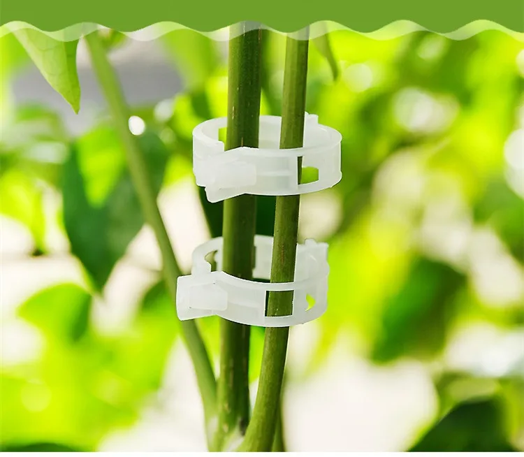 

50pcs Tomato Holder Applicator Vegetable Melon Plant Buckle Plant Clip Plastic Tie Folder Flexibility Not Hurting Seedlings