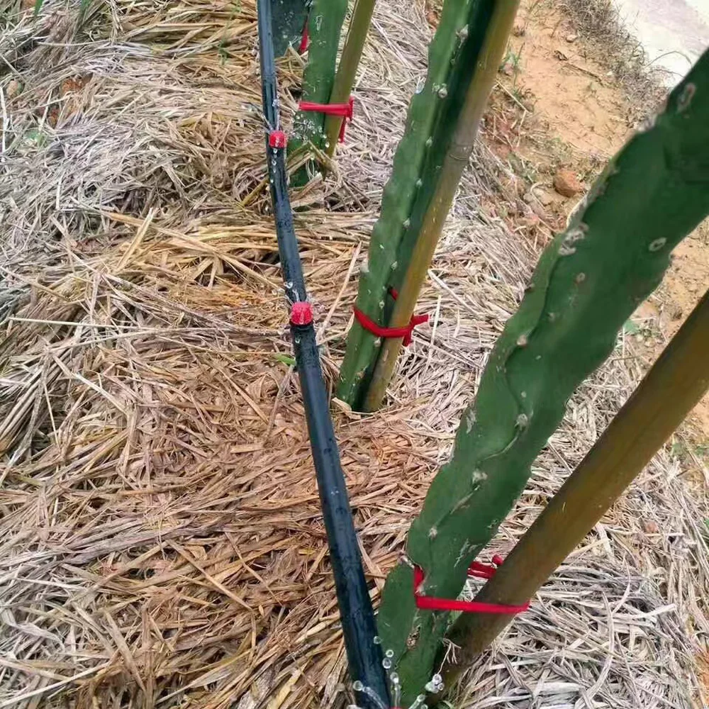 10 м DIY микро капельного орошения система автоматический таймер Self завод шланг для