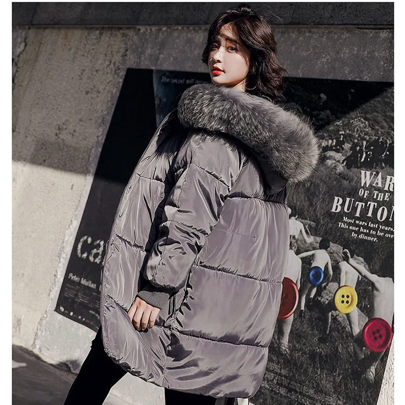 Одежда из хлопка женская зимняя куртка 2019 верхняя одежда с меховым воротником