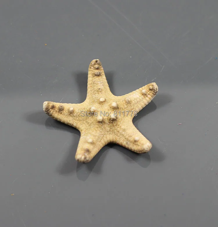 HappyKiss 3 шт. снаряды естественно Starfish раковины украшения Морской стиль Свадебные пару булочки starfish 3-5 см цвета морской звезда