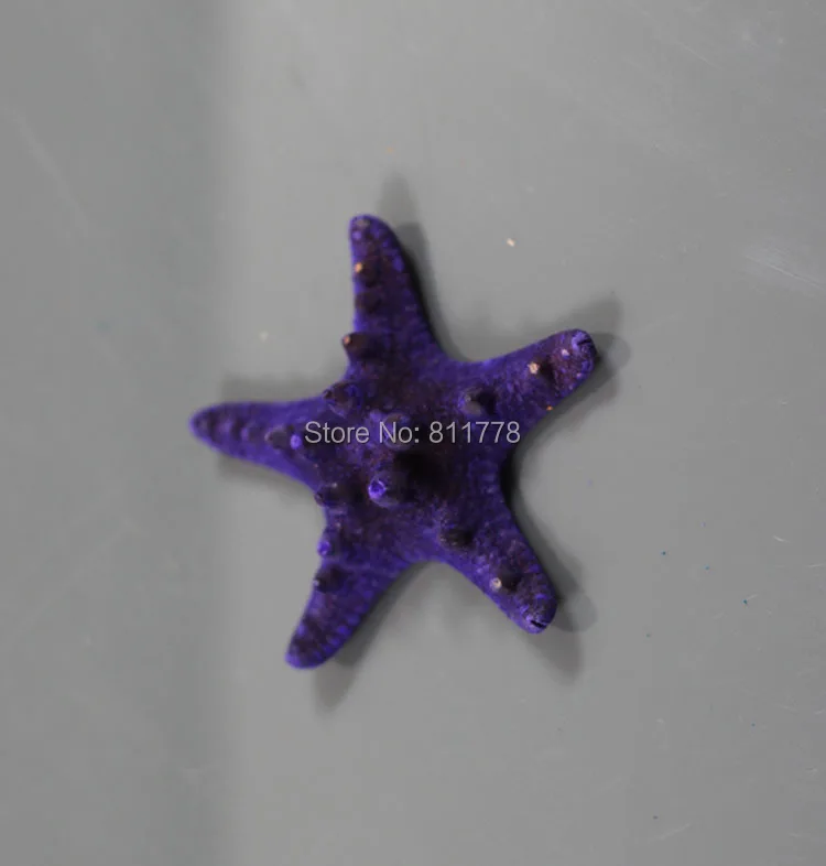 HappyKiss 3 шт. снаряды естественно Starfish раковины украшения Морской стиль Свадебные пару булочки starfish 3-5 см цвета морской звезда