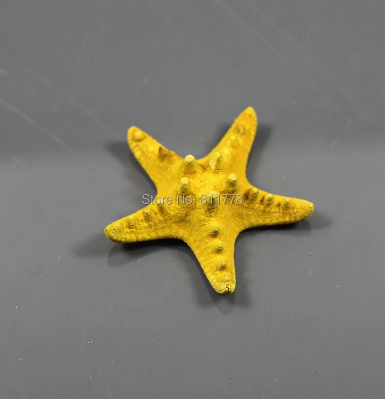 HappyKiss 3 шт. снаряды естественно Starfish раковины украшения Морской стиль Свадебные пару булочки starfish 3-5 см цвета морской звезда