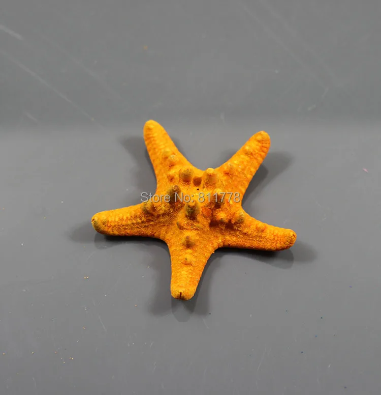 HappyKiss 3 шт. снаряды естественно Starfish раковины украшения Морской стиль Свадебные пару булочки starfish 3-5 см цвета морской звезда