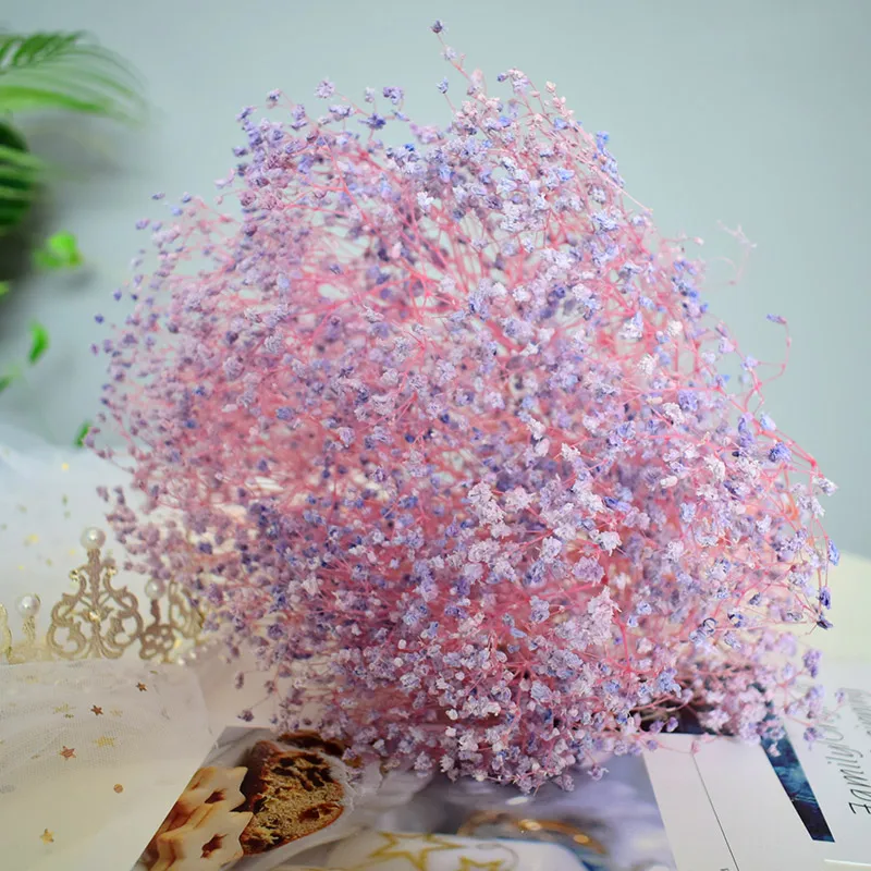 Акция продаж сохраненные цветы натуральные сухие Гипсофила для дома свадебные