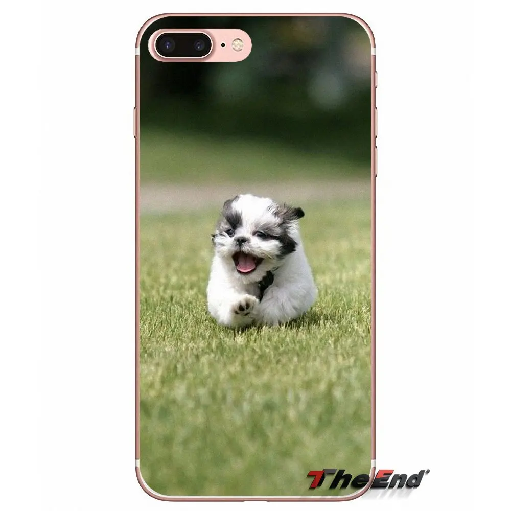 Мягкий прозрачный чехол для щенков собак shih tzu Huawei P Smart Y6 Ascend P8 P9 P10 Plus Nova P20 Lite Pro Mini