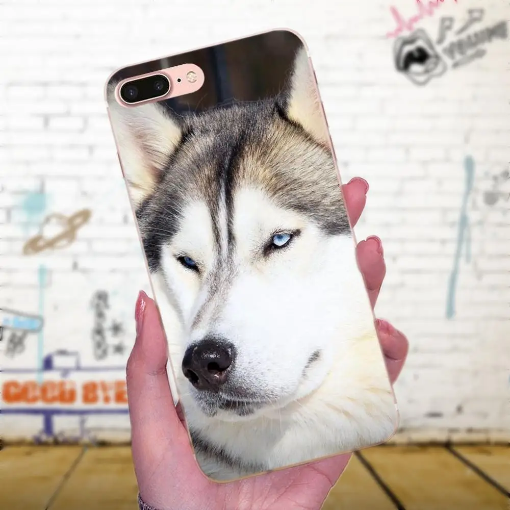 TPU мобильный телефон для Galaxy J1 J2 J3 J330 J4 J5 J6 J7 J730 J8 2015 2016 2017 2018 mini Pro Wacky Husky | Мобильные