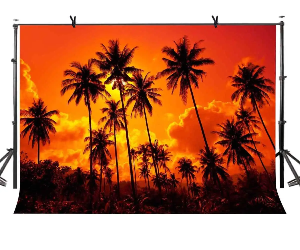 

150x210cm Sunset Backdrop Sunset Fire Burning Cloud Forest Photography Background for Camera Photo Props