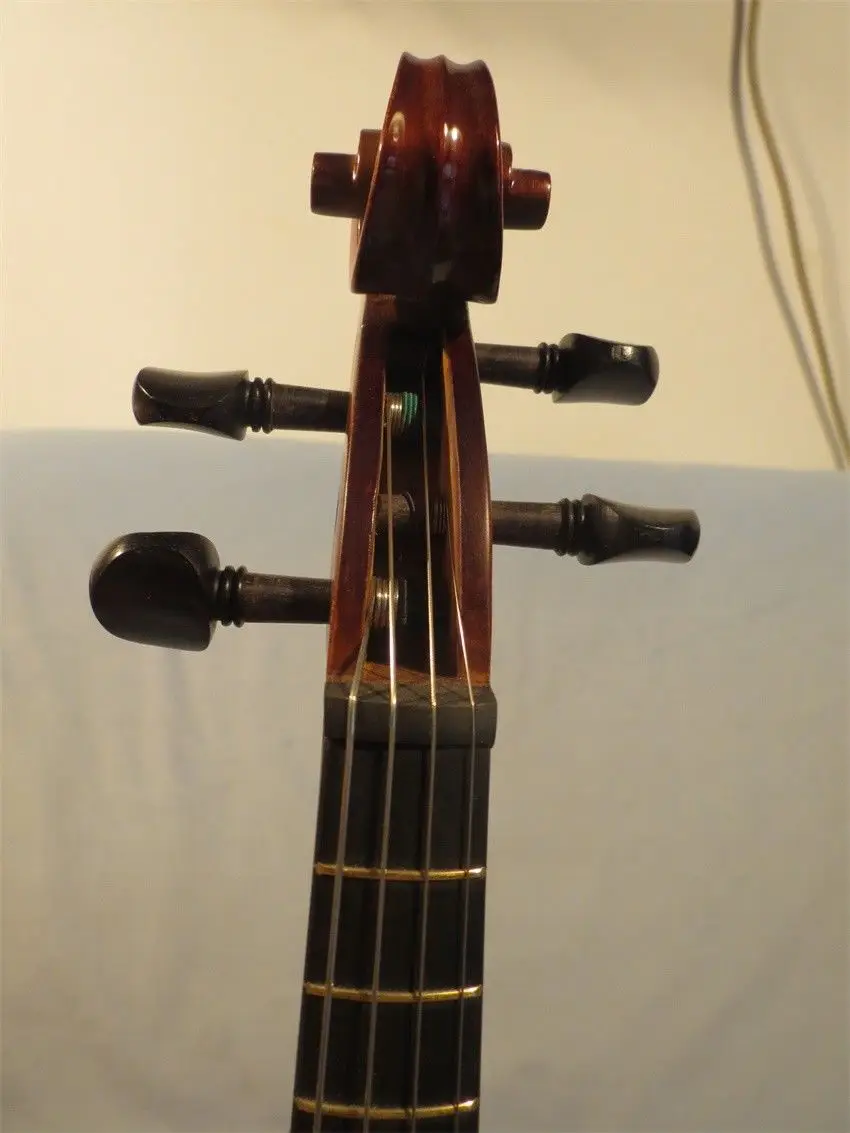 Стиль барокко песня Maestro instate Лады 4 струны 15 1/2 &quotviola da gamba #12979|Альт| |
