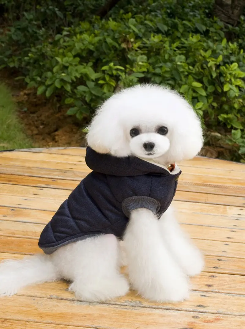 Cute Warm Pet Dog Clothes Winter Coat Puppy Jacket Cotton Soft Winter Clothes For Dog Hoodie Small Medium Large Pet Coats
