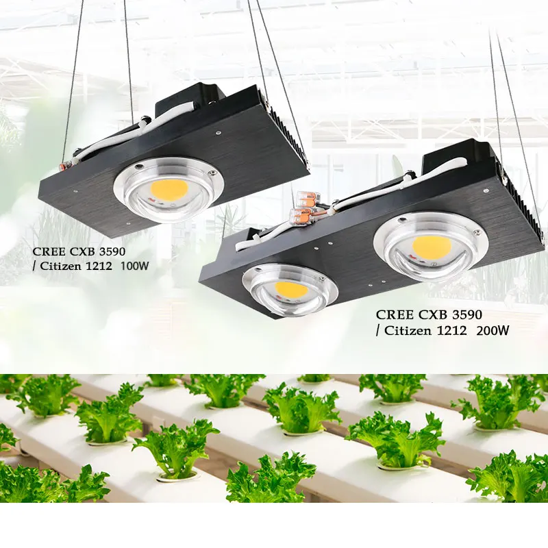 

CREE CXB3590 COB LED Grow Light Full Spectrum 100W Citizen 1212 LED Grow Lamp for Indoor Tent Greenhouse Hydroponic Plant Flower