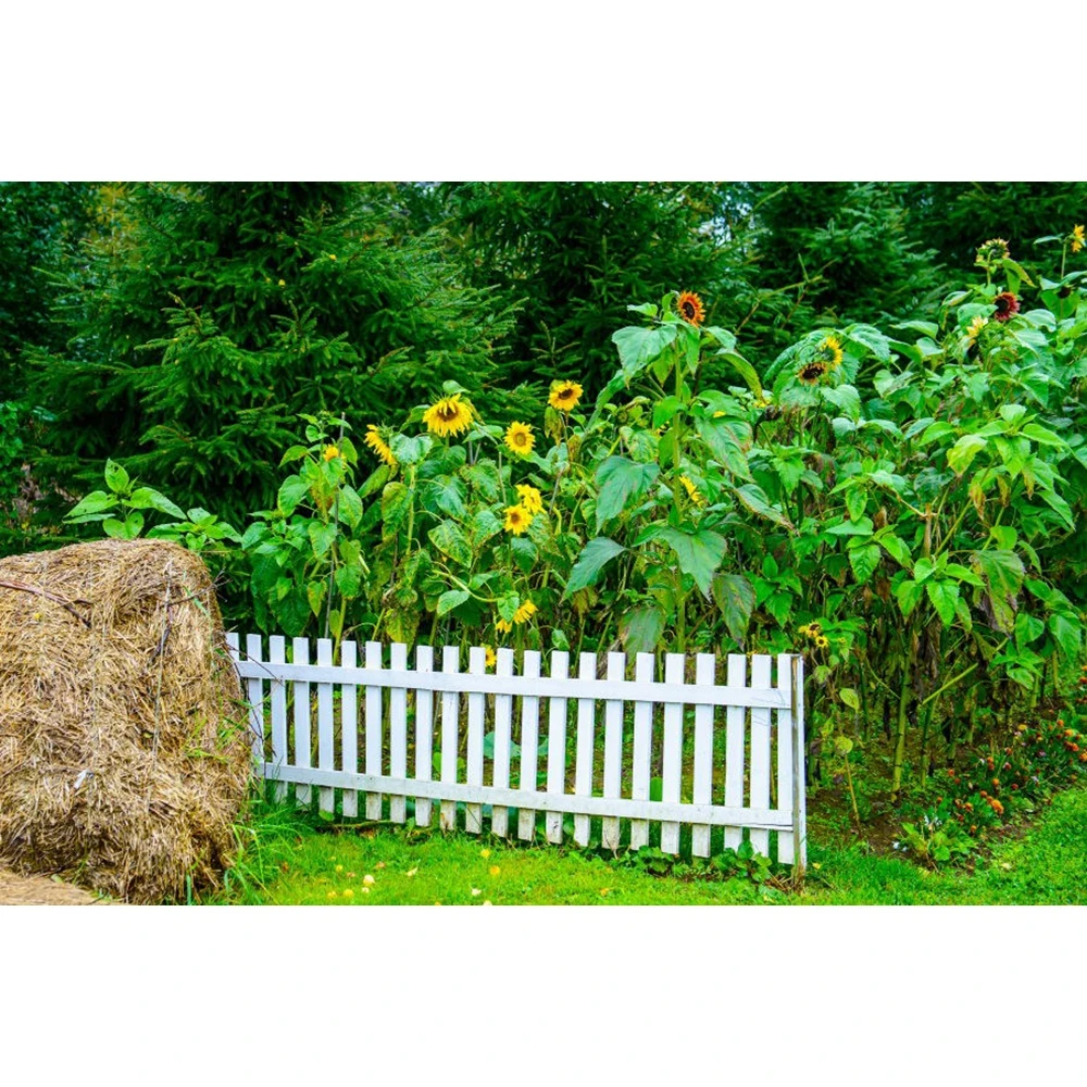 Фоны для фотосъемки Yeele с изображением сада забора солнца цветка сена стека