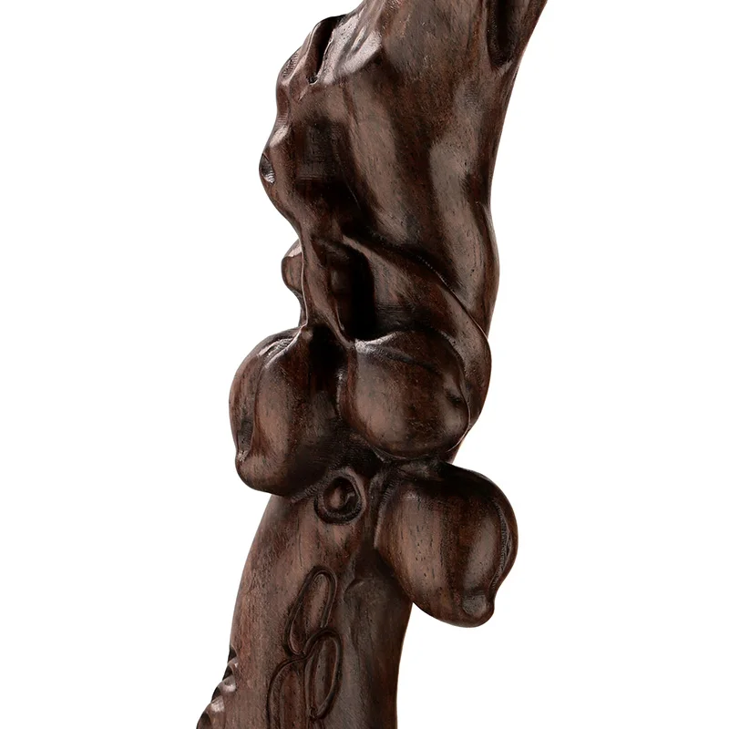 Вегетарианское дерево черное красное тростник TZ старые костыли для пожилых день