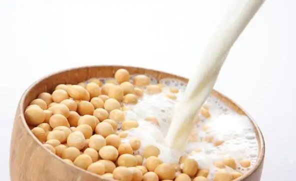 60 кг/ч машина для измельчения соевых бобов|tofu making machine|tofu maker machinemachine machine |