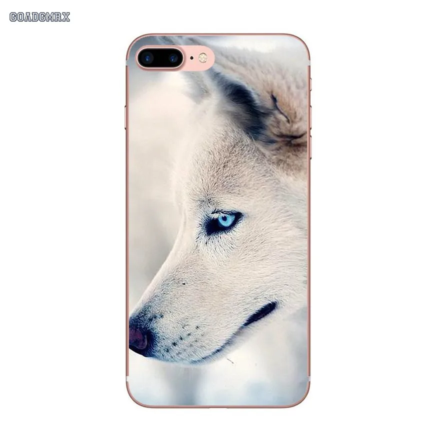 Прозрачные мягкие чехлы Pretty Siberian Husky Dogs для Samsung Galaxy S10 Lite J1 J2 J3 J5 J7 2015 2016 J4 J6 Plus J8 2018