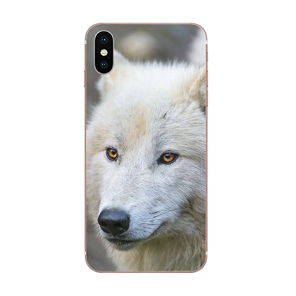 Чехол TPU Хаски Щенок Кристалл Чистый Гибкий для Huawei Honor 4C 5A 5C 5X 6 6A 6X 7 7A 7C 7X 8 8C 8S 9 10 10i 20 20i Lite Pro и др.