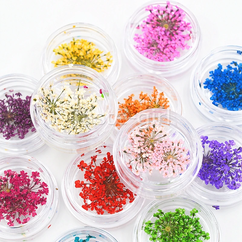 12 цветов натуральный сушеный цветок для УФ-геля ногтей |