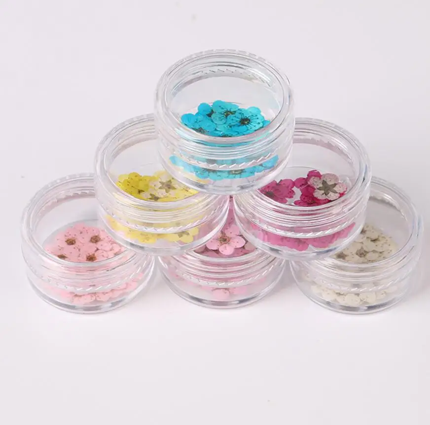 100 шт. цветок цветка сливы в коробке для изготовления ювелирных изделий из