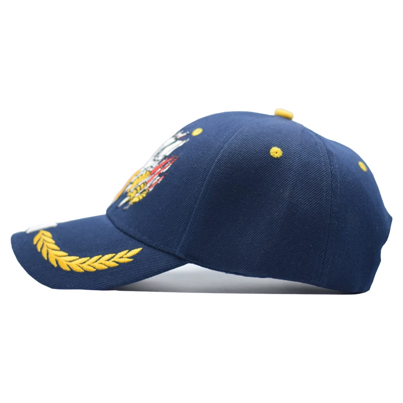 Бейсболка с вышивкой Nanci si бейсболка орлом США Snapback шляпа папы костяная мужская