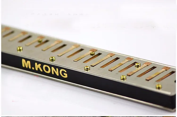 KONGSHENG 10 отверстий Блюз C Ключ губная гармоника рот орган арфа профессиональный духовой музыкальный инструмент для начинающих взрослых подарки для детей